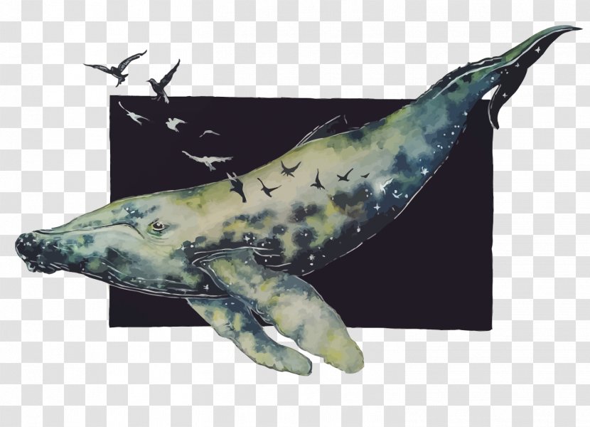 Baleen Whale Gulls - Marine Mammal - Vector Hand-painted Transparent PNG