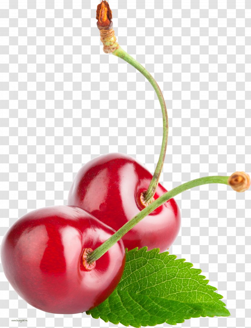 Cocktail Cherry Punch Berry Taste - Frutti Di Bosco Transparent PNG