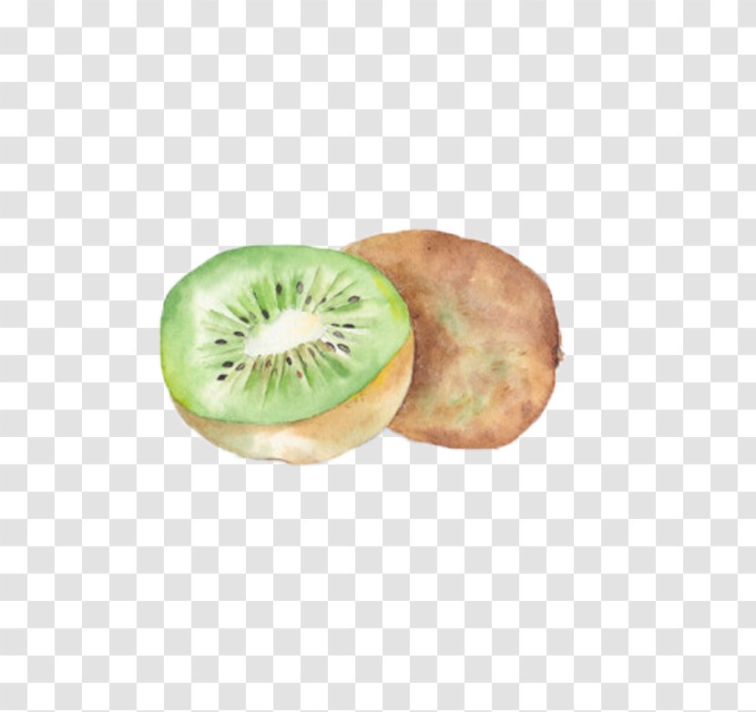 Kiwifruit Watercolor Painting - Printmaking - Kiwi Transparent PNG