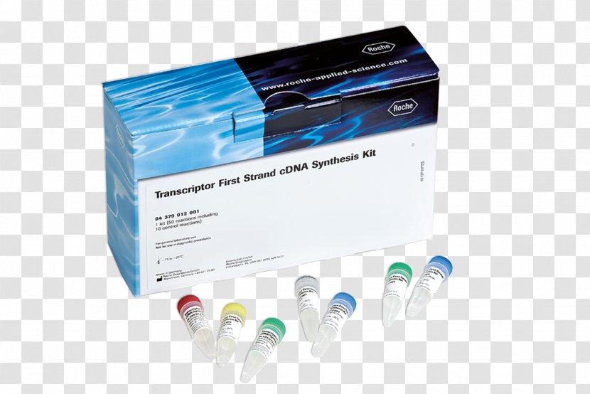 DNA Extraction Plasmid Preparation Roche Applied Science Itsourtree.com - Campaigns Transparent PNG