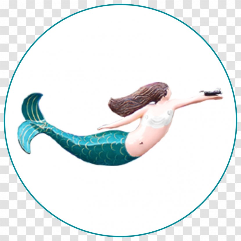 Marine Mammal Mermaid Fish Turquoise - Organism Transparent PNG