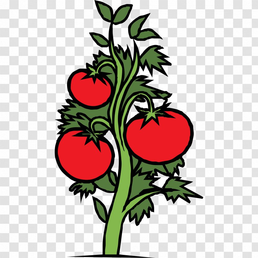 Cherry Tree - Plants - Solanum Vegetable Transparent PNG
