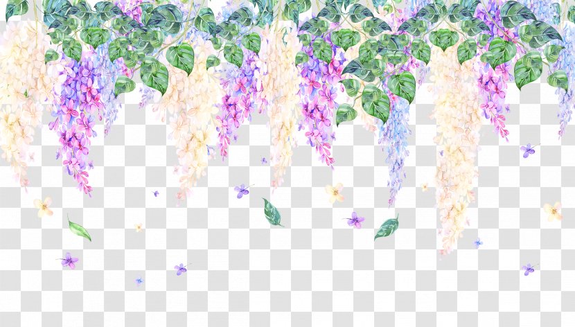 Viola Mandshurica Violet Drawing - Hand Drawn Transparent PNG