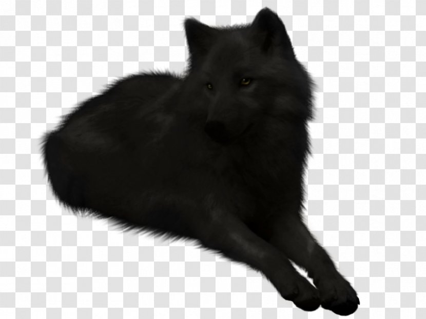 Dog Black Wolf Puppy Drawing Pack - Fur - White Transparent PNG