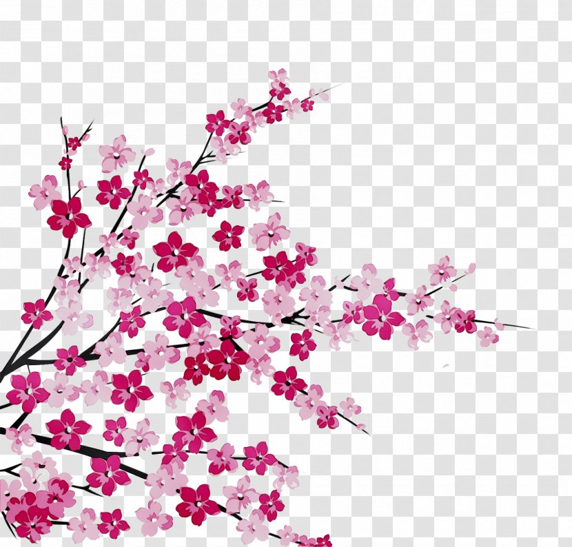 Cherry Blossom ST.AU.150 MIN.V.UNC.NR AD Design Flowering Plant Cherries - Plants - Branch Transparent PNG