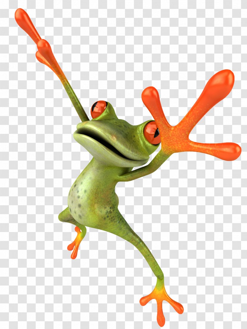 Frog Stock Photography Royalty-free - Amphibian Transparent PNG