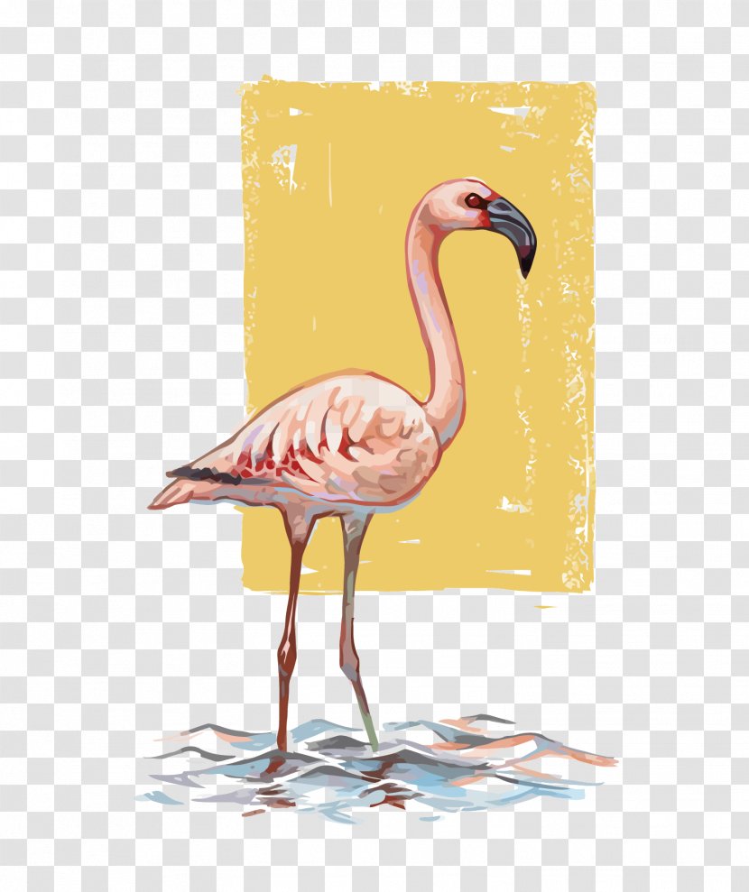 Flamingos Bird Drawing - Flamingo - Vector Transparent PNG