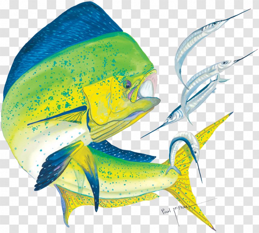 Mahi-mahi T-shirt Seafood Tuna Fish - Marine Biology - Jumping Transparent PNG
