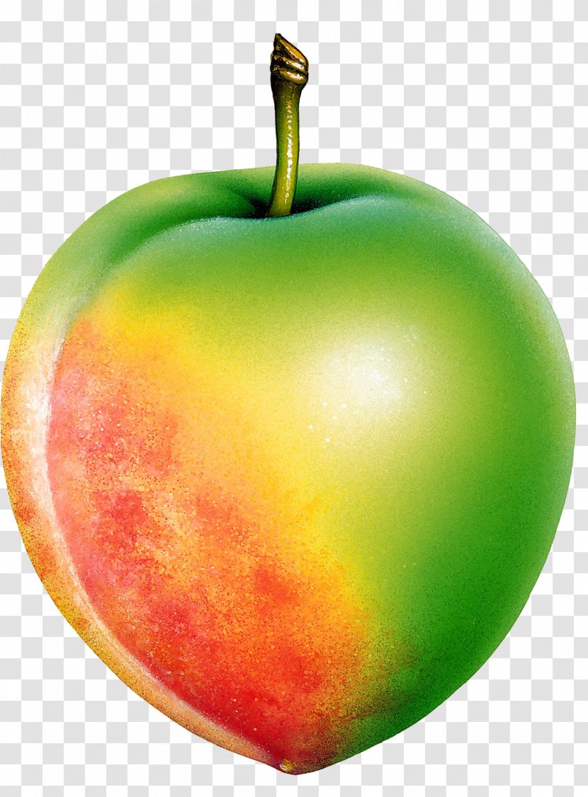 Fruit Apple McIntosh Red Berry Clip Art - Natural Foods Transparent PNG