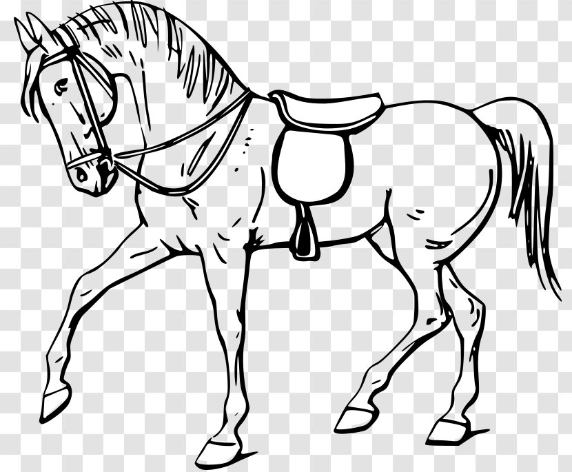 Tennessee Walking Horse Arabian Equestrian Clip Art - Jumping - Cliparts Transparent PNG