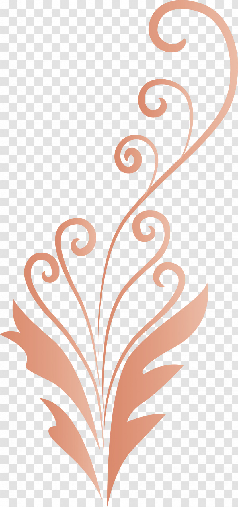 Flower Frame Floral Frame Decoration Frame Transparent PNG