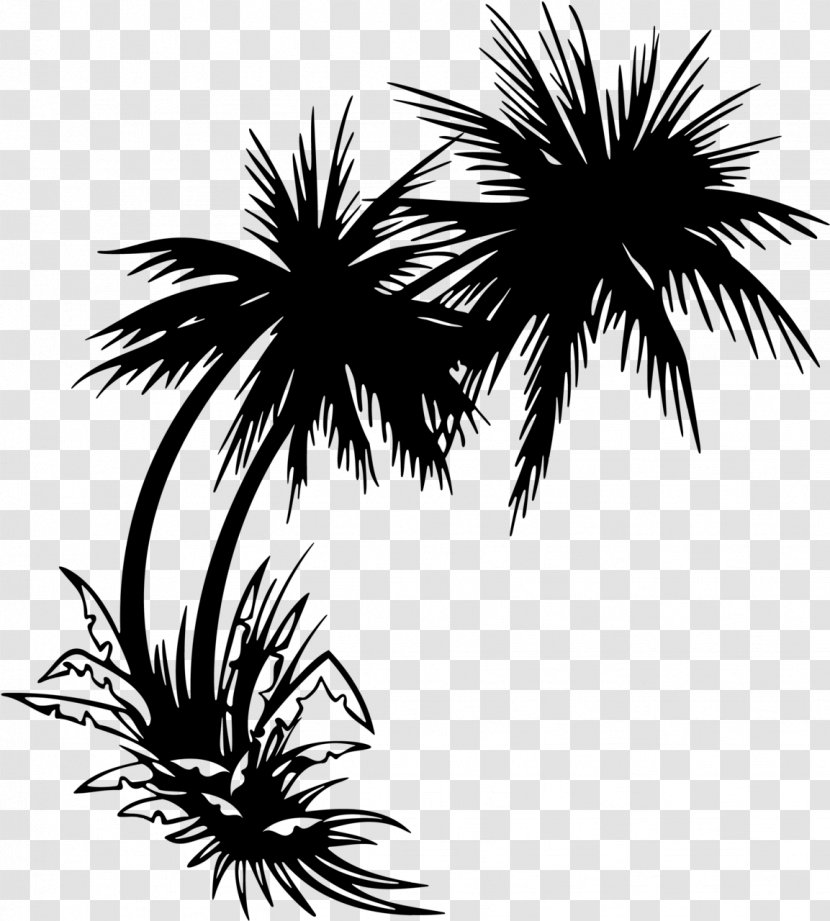 Arecaceae Tree Clip Art - Palm - Coconut Transparent PNG