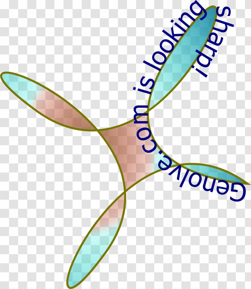 Clip Art - Wing - Path Transparent PNG