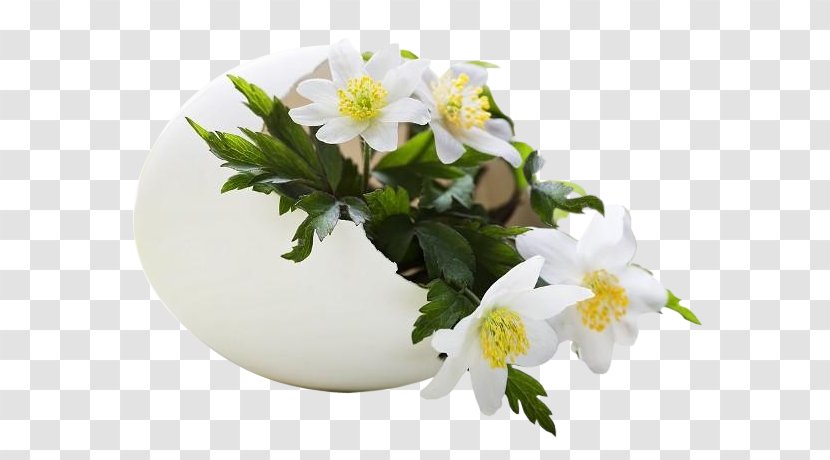 Easter Egg GIF Palm Sunday Holy Week - Animation Transparent PNG