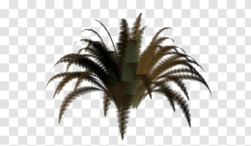 3D Computer Graphics Adobe Fireworks Arecaceae - 3d Modeling - World Wide Web Transparent PNG