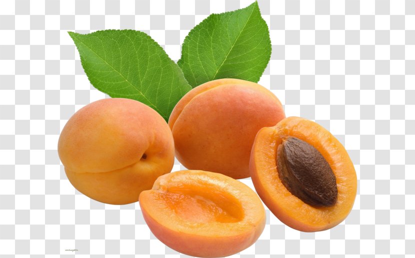 Gelatin Dessert Apricot Prunus Mandshurica Vaisiaus Kauliukas - Jam Transparent PNG