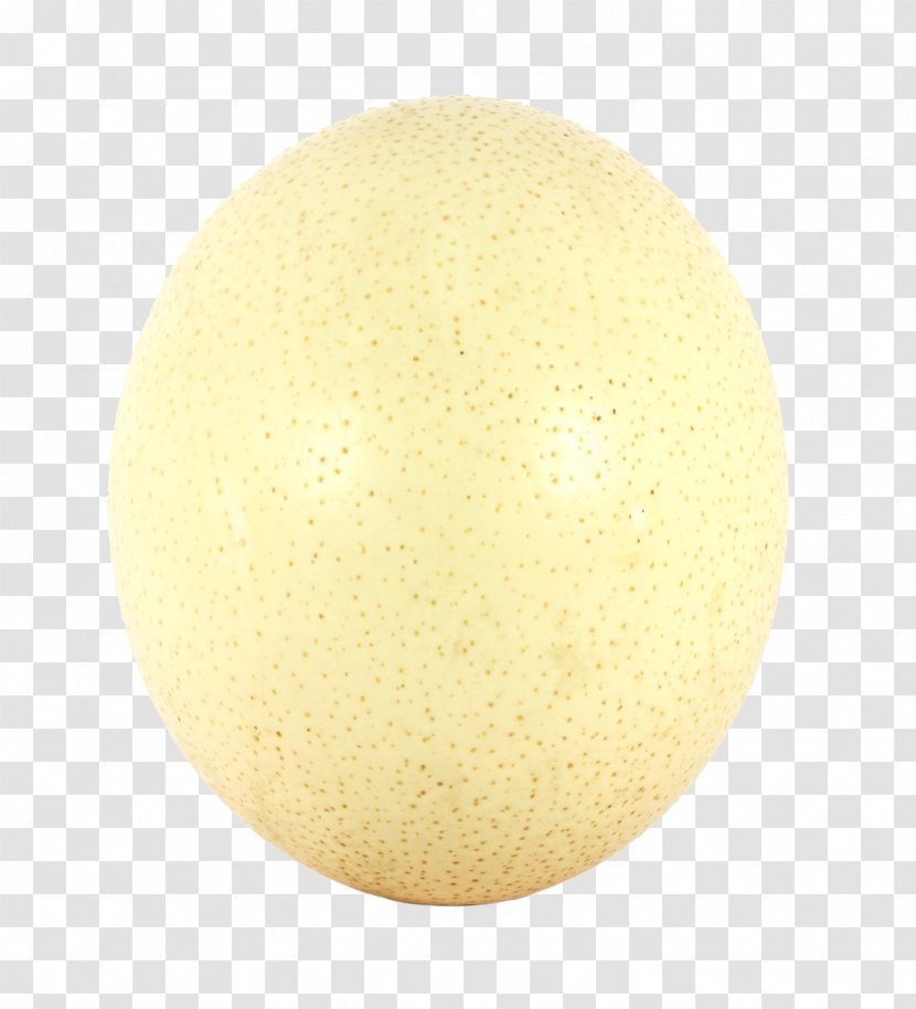 Yellow Material Circle Egg - An Ostrich Transparent PNG