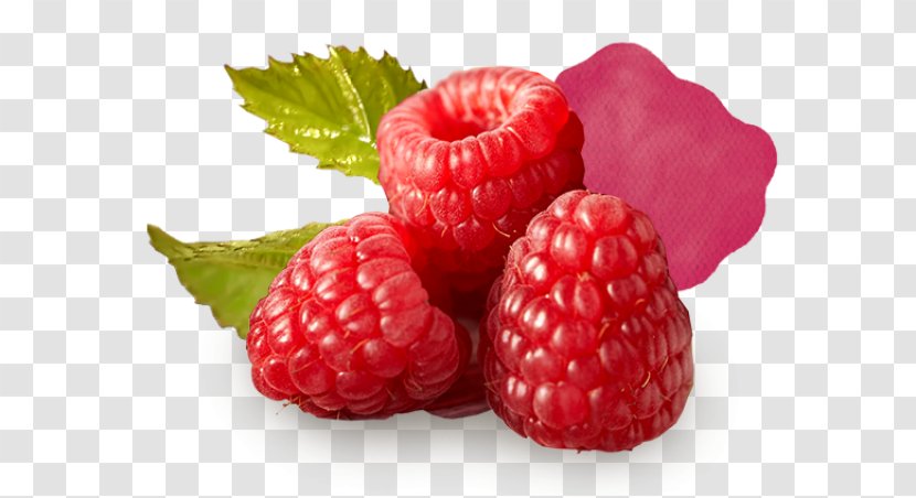 Strawberry Raspberry Boysenberry Loganberry Accessory Fruit - Isolated Transparent PNG