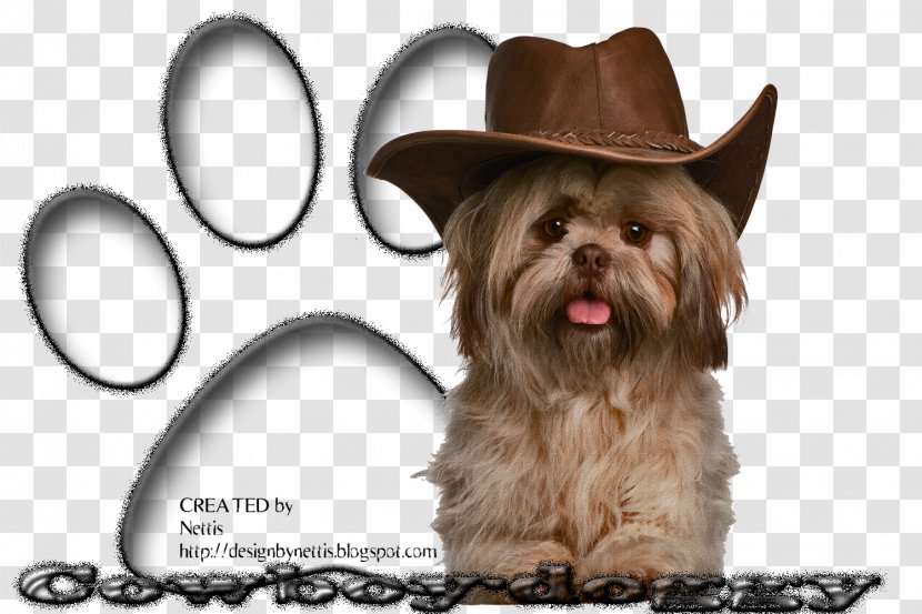 Shih Tzu Puppy Dog Breed Toy Terrier - Pet - Cowboy Transparent PNG