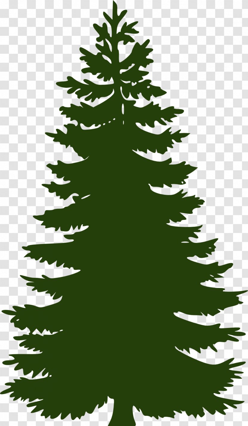 Stock.xchng Image Photograph Balsam Fir Vector Graphics - Painting - Stock Photography Transparent PNG