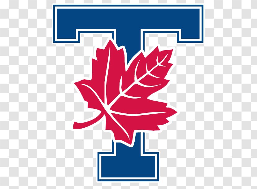 Toronto Varsity Blues Men's Soccer University Of Stadium Queen's Brock - Woody Plant - Logo Transparent PNG