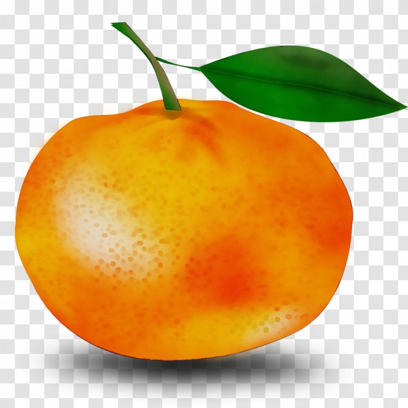 Orange - Vegetarian Food Tree Transparent PNG