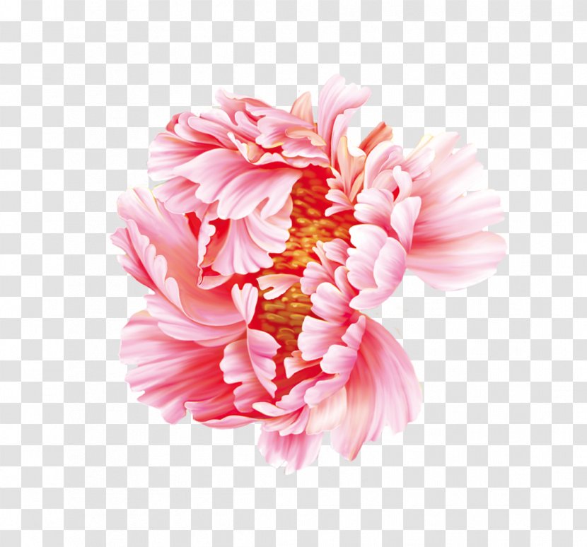Dahlia Moutan Peony Flower - Gerbera Transparent PNG