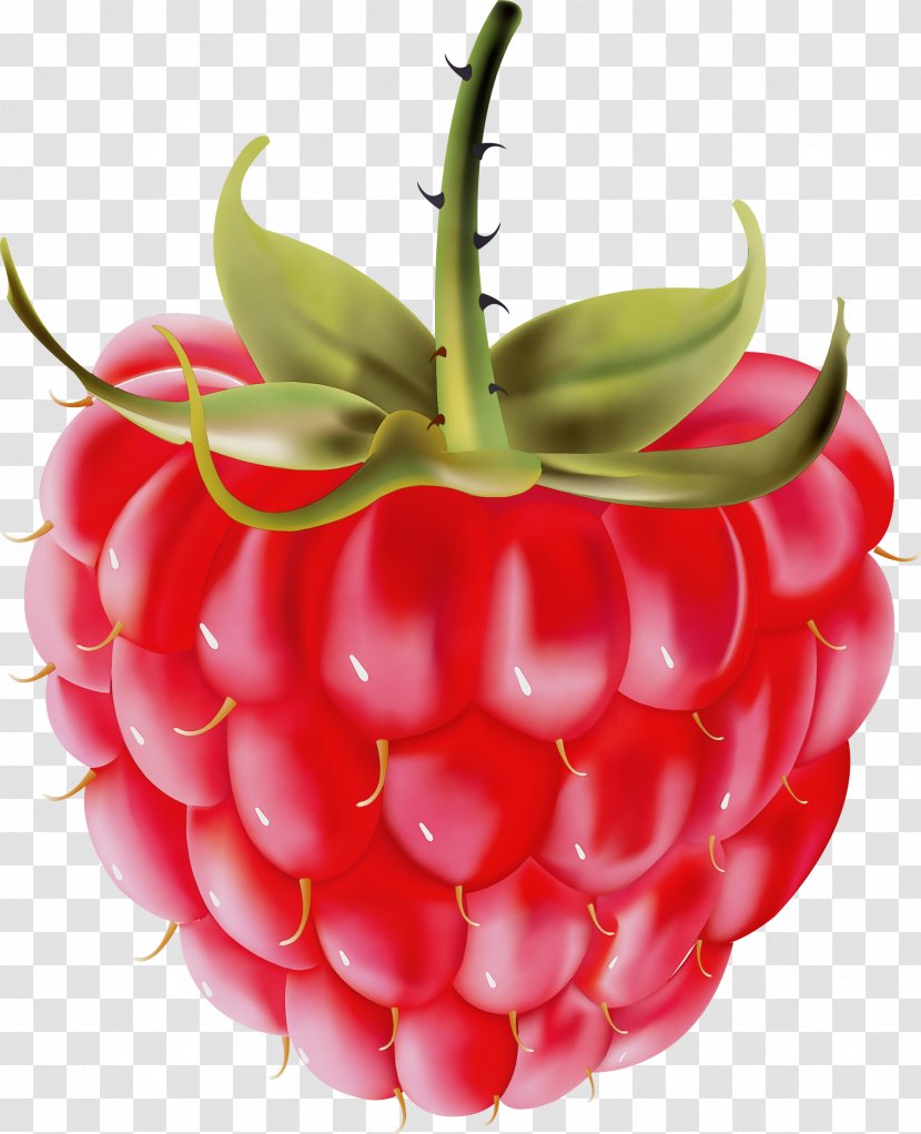 Strawberry - Strawberries - Seedless Fruit Food Transparent PNG