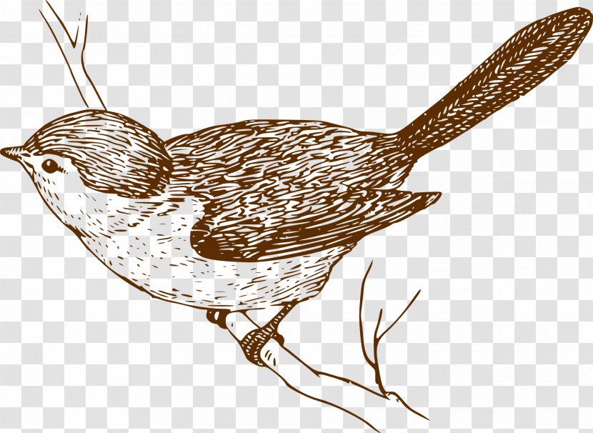 Bird Drawing Clip Art - Silhouette - Sparrow Transparent PNG