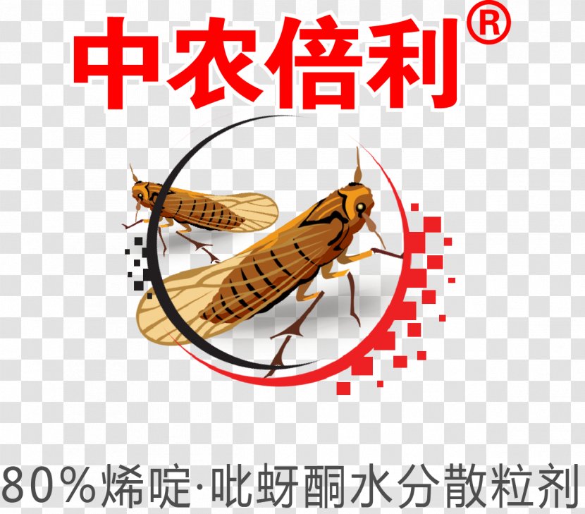 Insect Clip Art Line Pest - Membrane Winged - Insecticide Transparent PNG