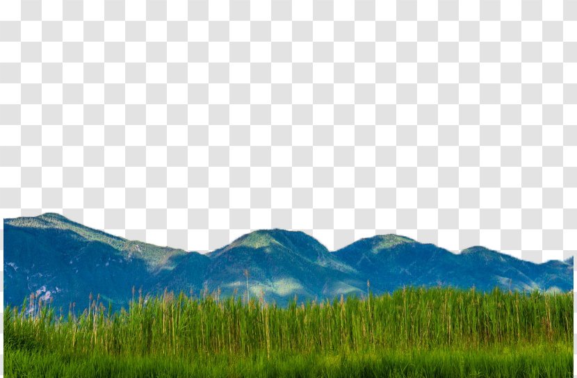Biome Grassland Ecoregion Sky Wallpaper - Lugu Lake Caohai Landscape Two Transparent PNG