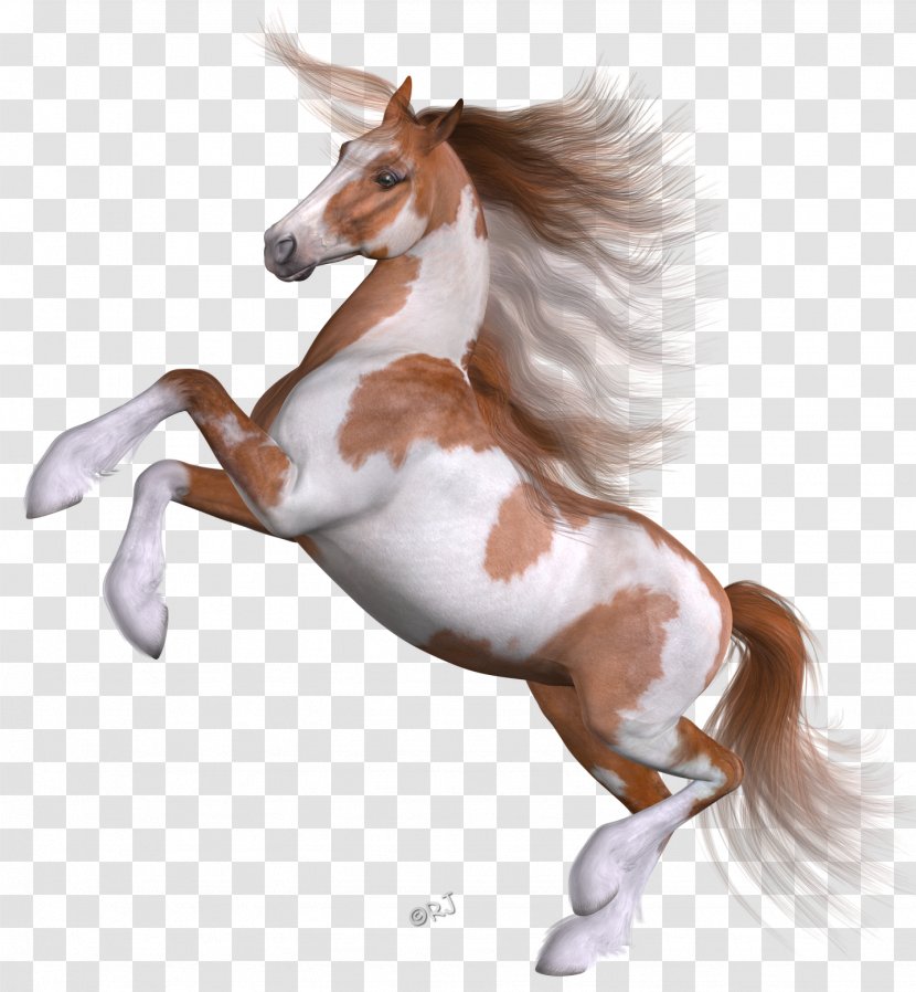 Mane Mustang Foal Stallion Pony - Livestock Transparent PNG