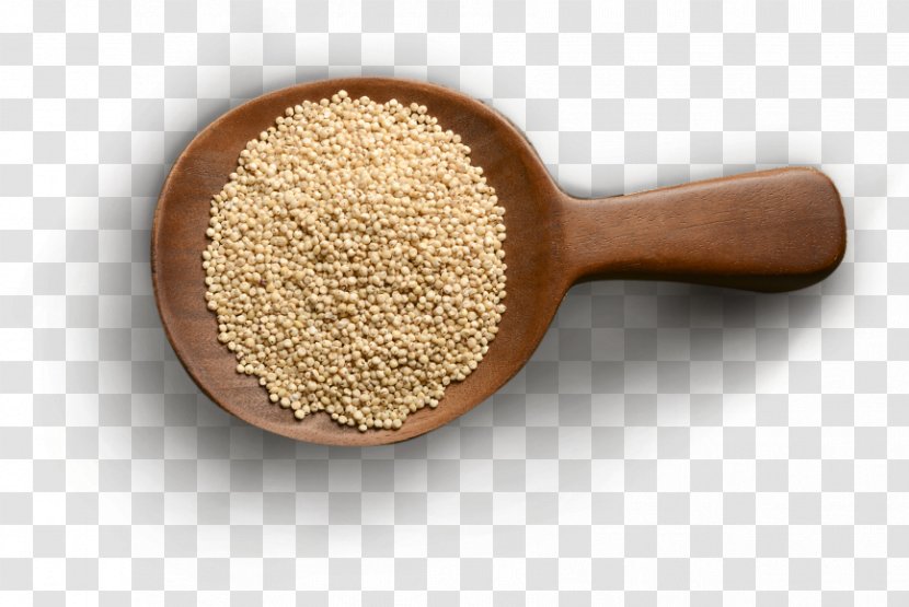 Cereal Millet Grain Ingredient Broom-corn - Commodity - Milo Transparent PNG