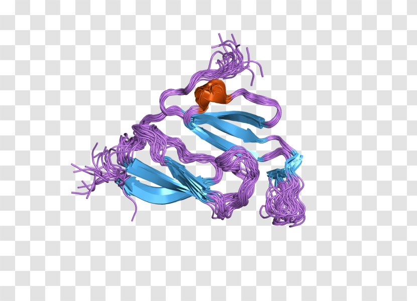 Major Vault Protein Gene Multiple Drug Resistance Font - Organelle Transparent PNG