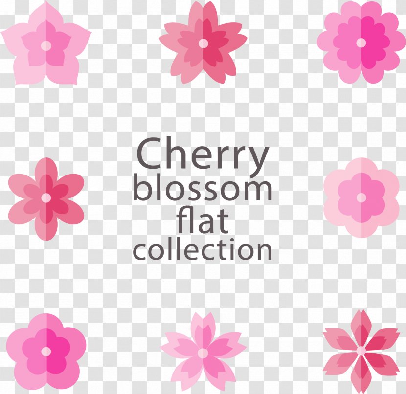 National Cherry Blossom Festival Flat Design - Gratis - Eight Pink Blossoms Transparent PNG