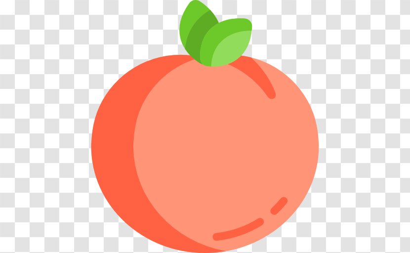 Apricot - Orange - Peach Transparent PNG