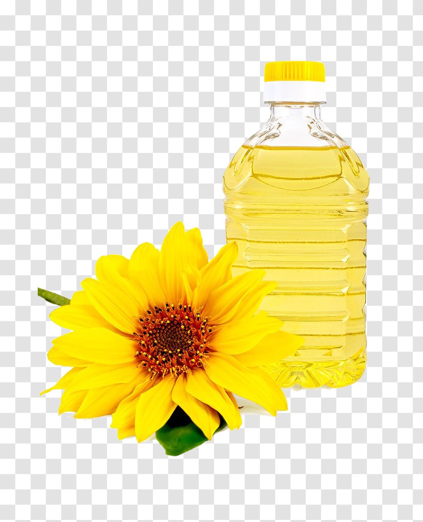 Common Sunflower Oil Vegetable Cooking - Daisy Family - Photography Transparent PNG