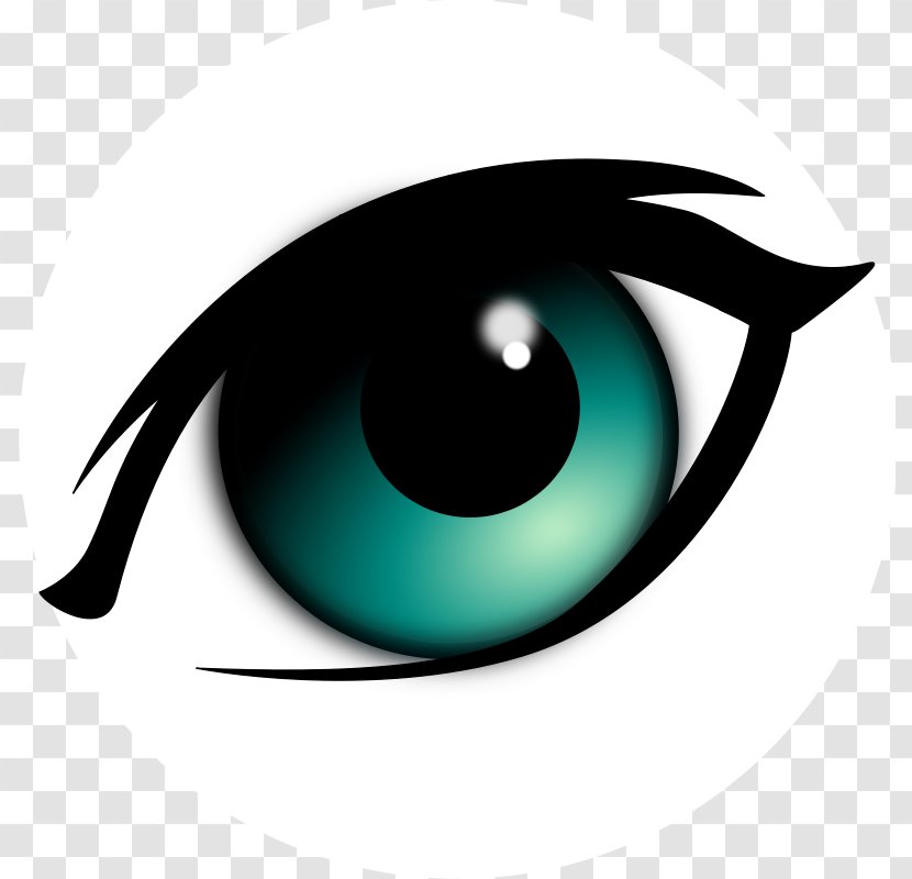 Eye Cartoon Drawing Clip Art - Flower - Animal Eyeball Cliparts Transparent PNG