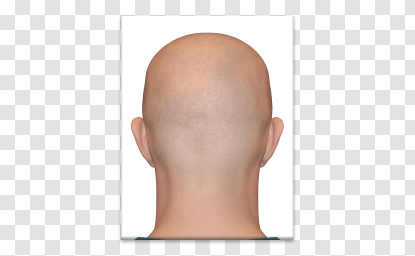 Chin Cheek Jaw Mouth Forehead - Cartoon - Nose Transparent PNG