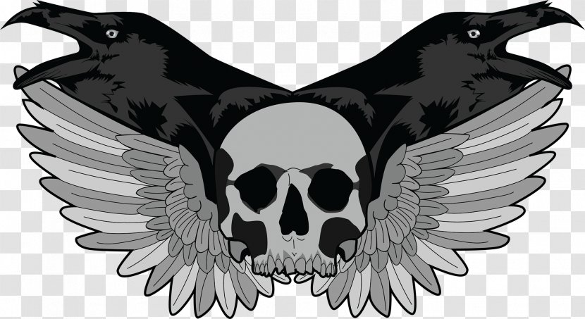 Skull Vector Graphics Raven Crow - Illustrator - Vulture Wings Transparent PNG