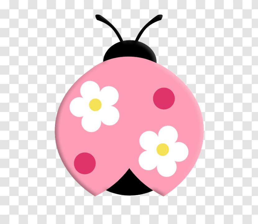Ladybird Beetle Clip Art Image Drawing - Insect Transparent PNG