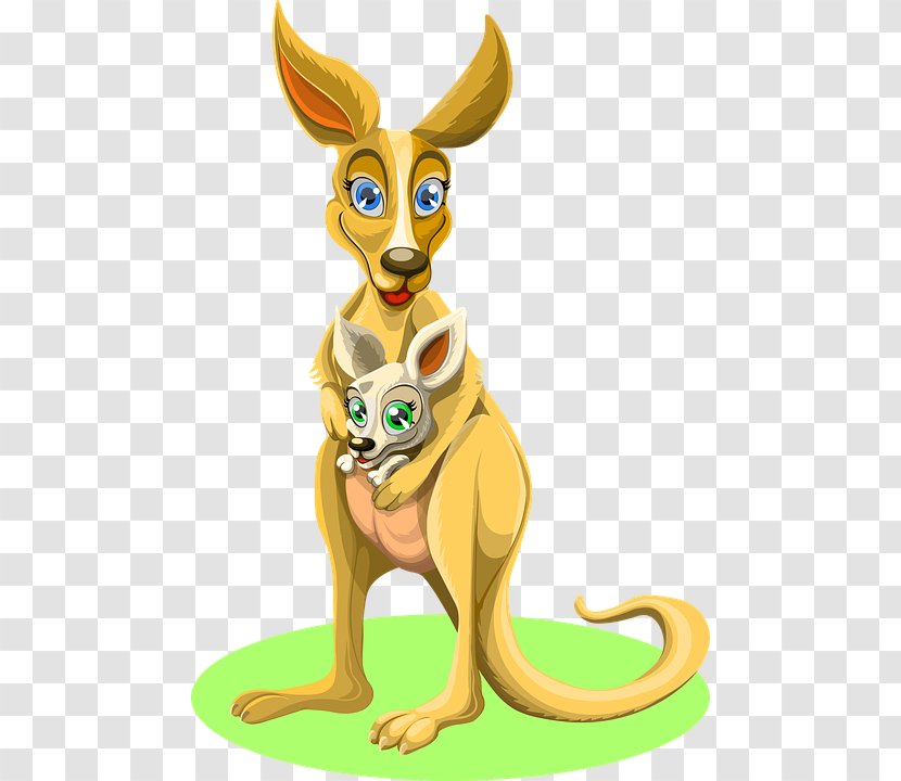 Red Kangaroo Macropodidae Transparent PNG