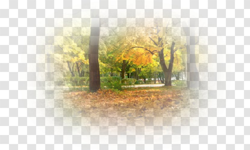 Season Saratov Oblast Autumn Abscission Clip Art - Stock Photography - Sunlight Transparent PNG
