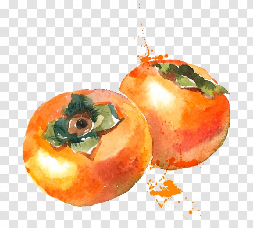 Watercolor Painting Persimmon Fruit - Vegetarian Food Transparent PNG
