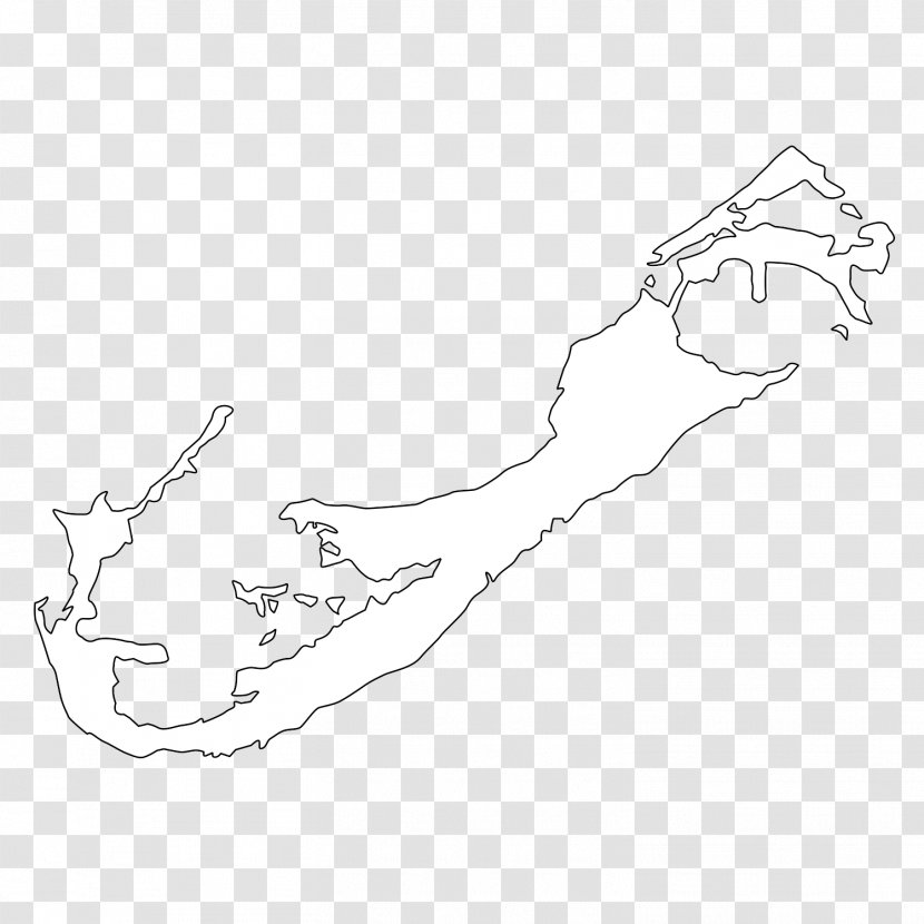 Sketch Illustration Finger Mammal Drawing - Monochrome - Bermuda Transparent PNG