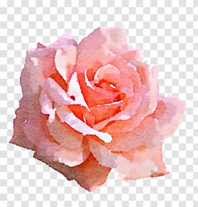 Light Rose Pink Clip Art - Flowers - Watercolor Transparent PNG