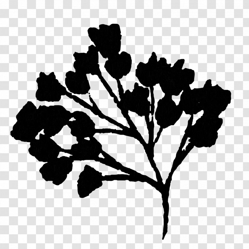 Silhouette Plant Stem Black Leaf Branching - Plants Transparent PNG