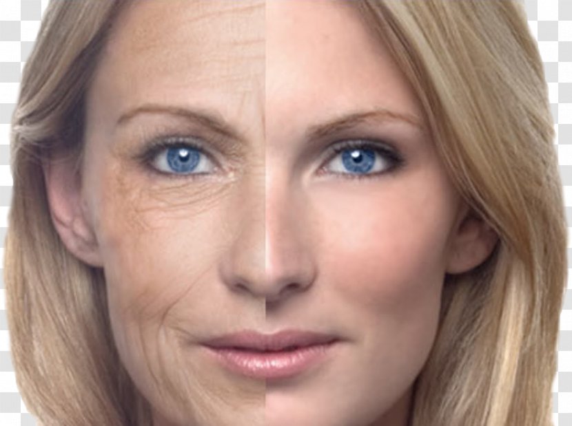Ageing Skin Old Age Anti-aging Cream Wrinkle - Eye Liner - Aging Transparent PNG