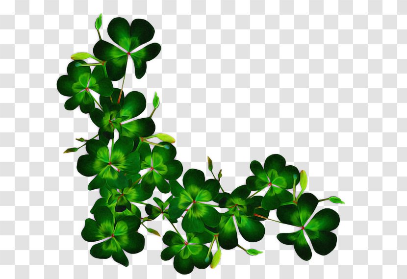 Saint Patricks Day - Symbol - Arctostaphylos Uvaursi Branch Transparent PNG