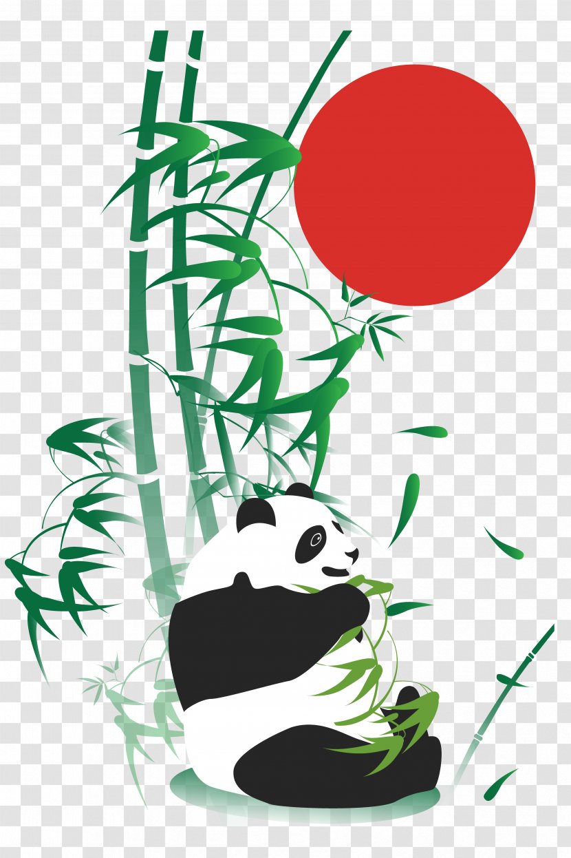Giant Panda Bamboo Drawing Adobe Illustrator - Natural Decoration Of Transparent PNG
